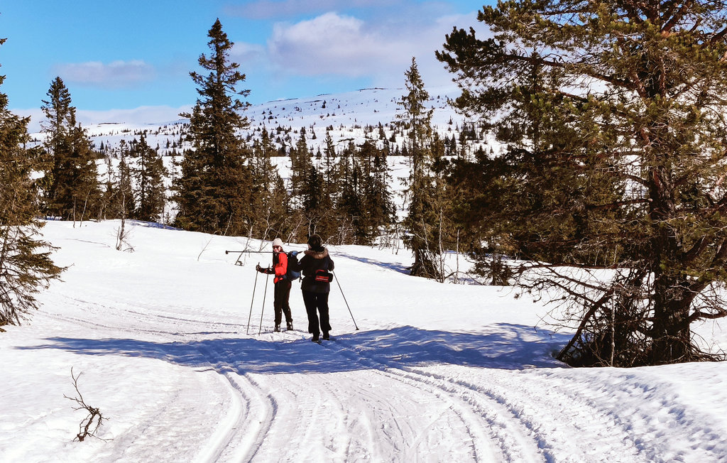 Feriehus - Tuddal , Norge - N35539 42