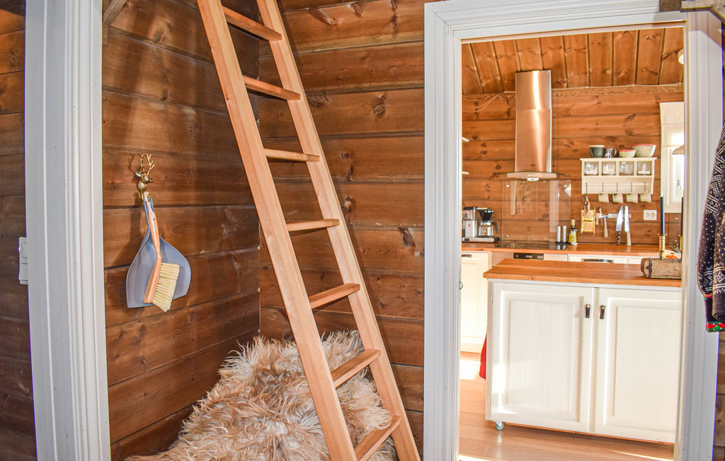 Feriehus - Nissedal/Kyrkjebygdeheia , Norge - N35526 15