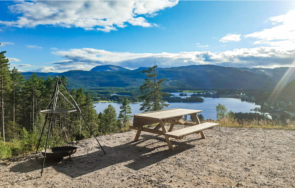 Feriehus - Vrådal , Norge - N35486 8