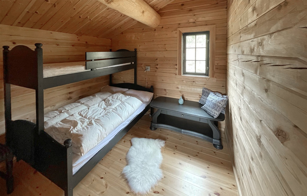 Feriehuse - Nissedal/Kyrkjebygdeheia , Norge - N35517 29