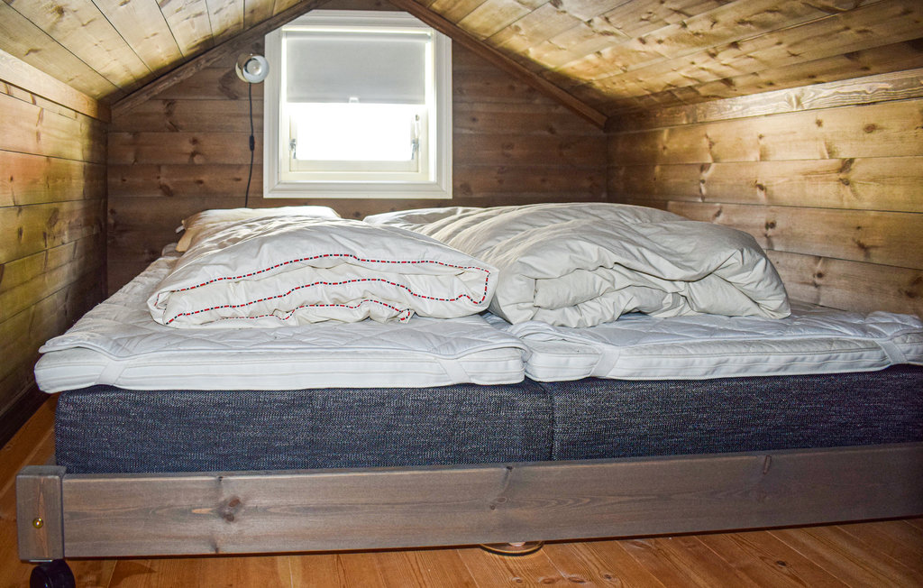 Feriehus - Nissedal/Kyrkjebygdeheia , Norge - N35526 18