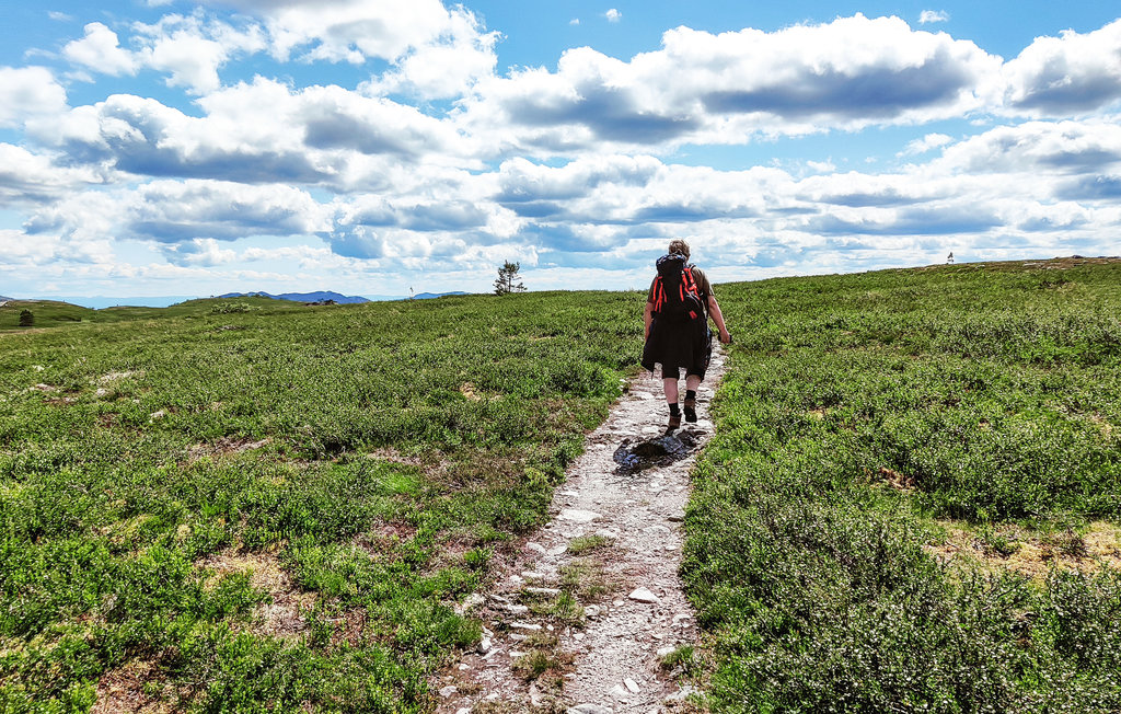 Feriehus - Tuddal , Norge - N35539 36