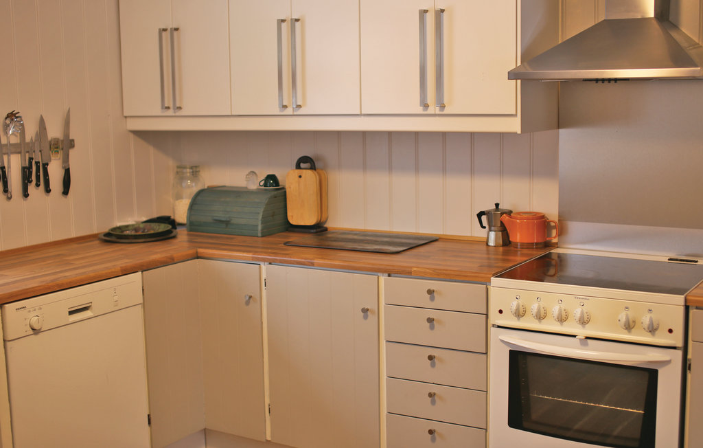 Feriehuse - Rauland , Norge - N35166 7