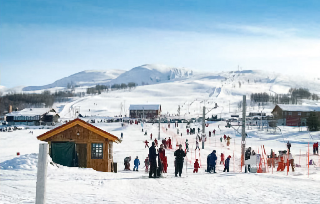 Semesterhus - Heimvegli/Rauland , Norge - N35510 26