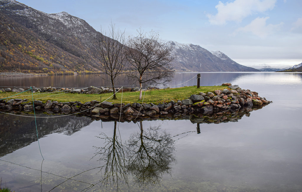 Semesterhus - Rauland/Sandviki , Norge - N35562 19