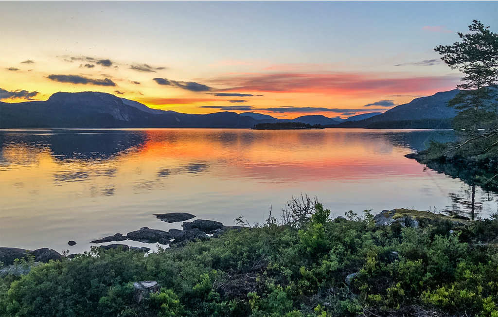 Ferienhaus - Nissedal , Norwegen - N35624 31
