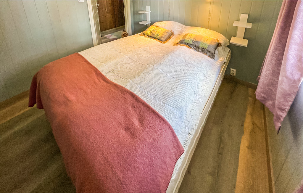 Ferienhaus - Nissedal , Norwegen - N35624 23