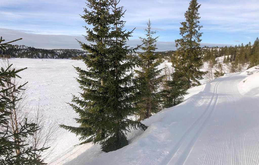 Feriehuse - Nissedal/Kyrkjebygdeheia , Norge - N35517 34