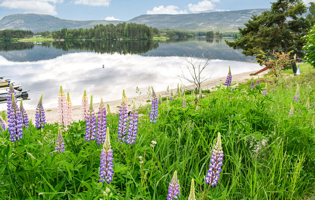 Feriehuse - Vrådal/Vråliosen , Norge - N35543 23