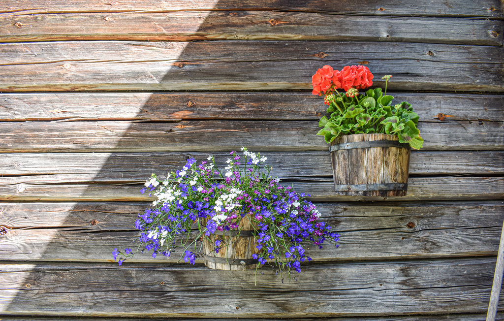 Semesterhus - Bandaksli , Norge - N35080 11