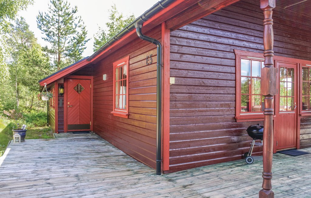 Semesterhus - Felle/Havrefjell/Treungen , Norge - N35420 6