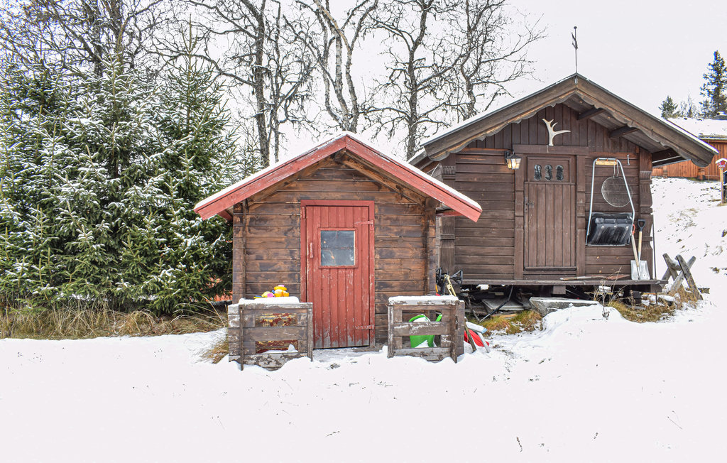 Ferienhaus - Rauland , Norwegen - N35567 10