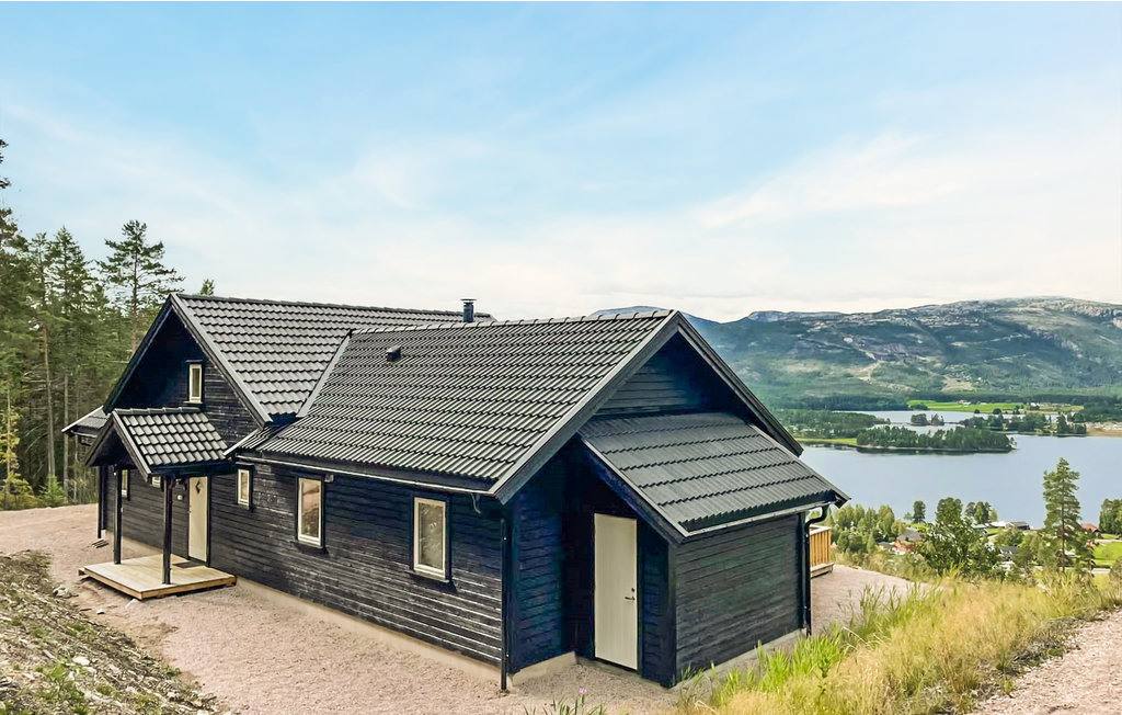 Feriehus - Vrådal , Norge - N35486 1