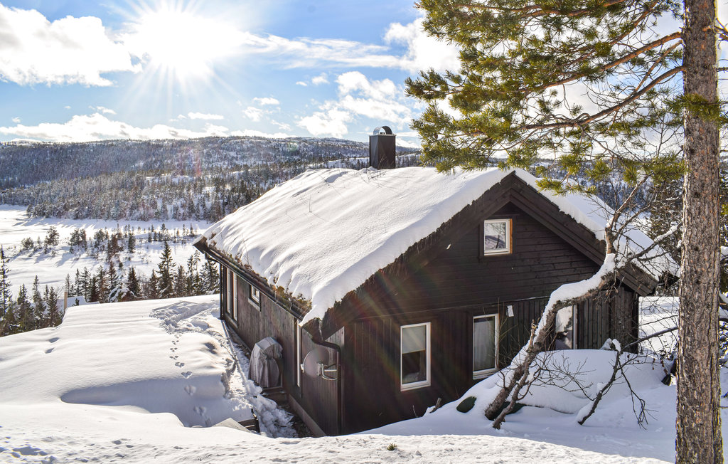 Feriehus - Nissedal/Kyrkjebygdeheia , Norge - N35526 9