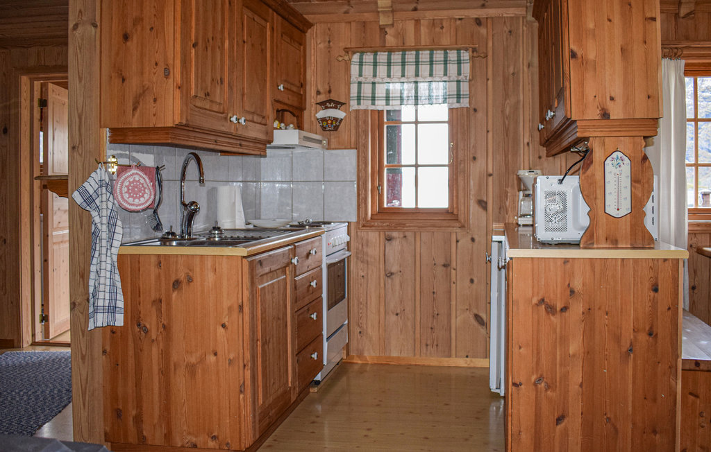 Semesterhus - Rauland/Sandviki , Norge - N35562 4