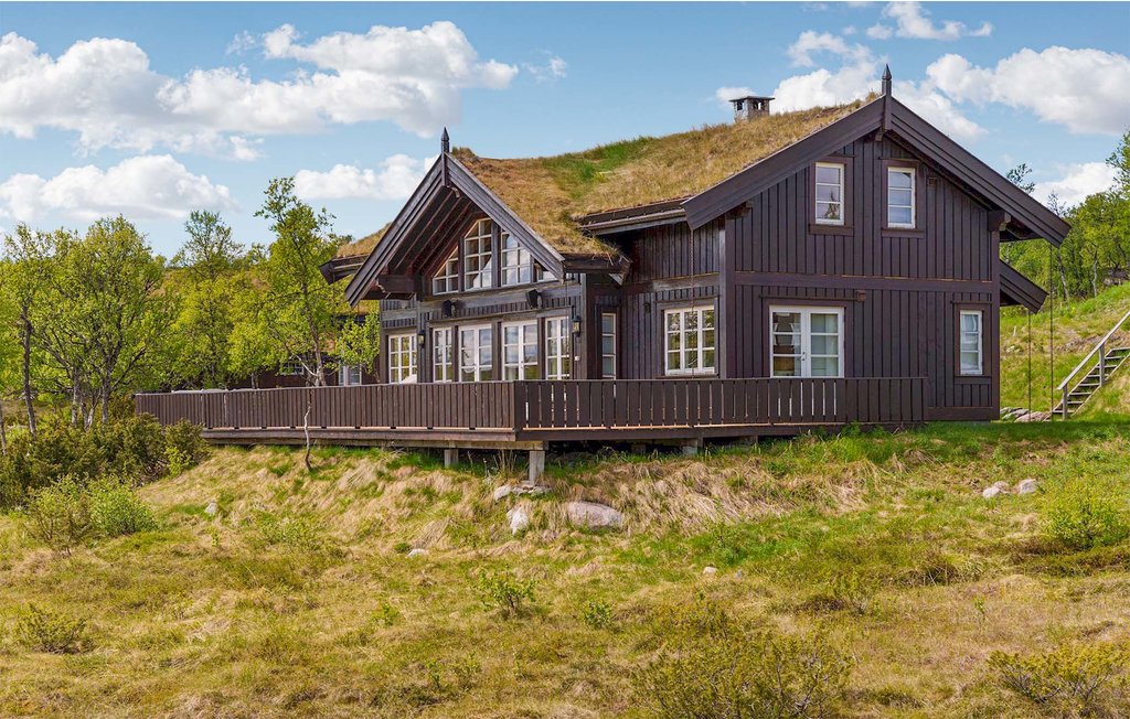 Ferienhaus - Rauland , Norwegen - N35628 1