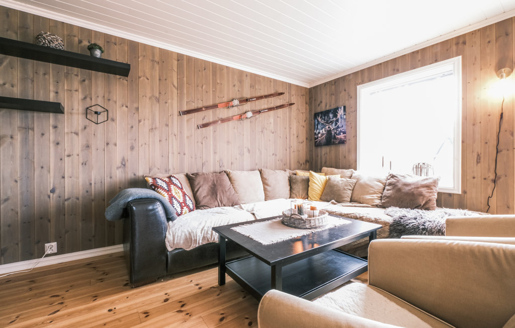 Feriehuse - Rauland , Norge - N35625 4