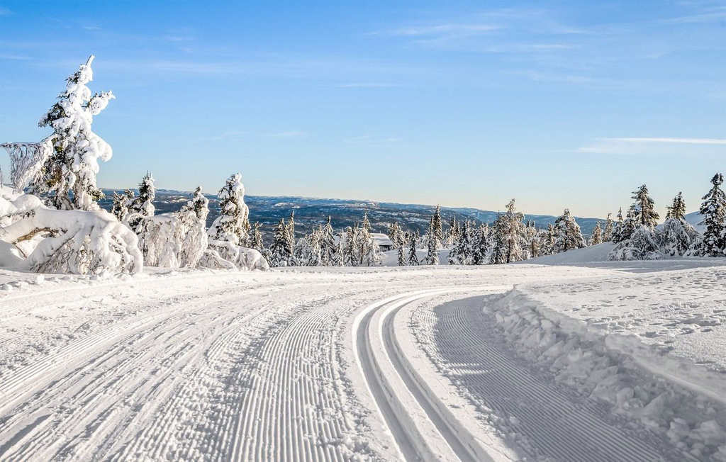 Semesterhus - Lifjell , Norge - N35497 3