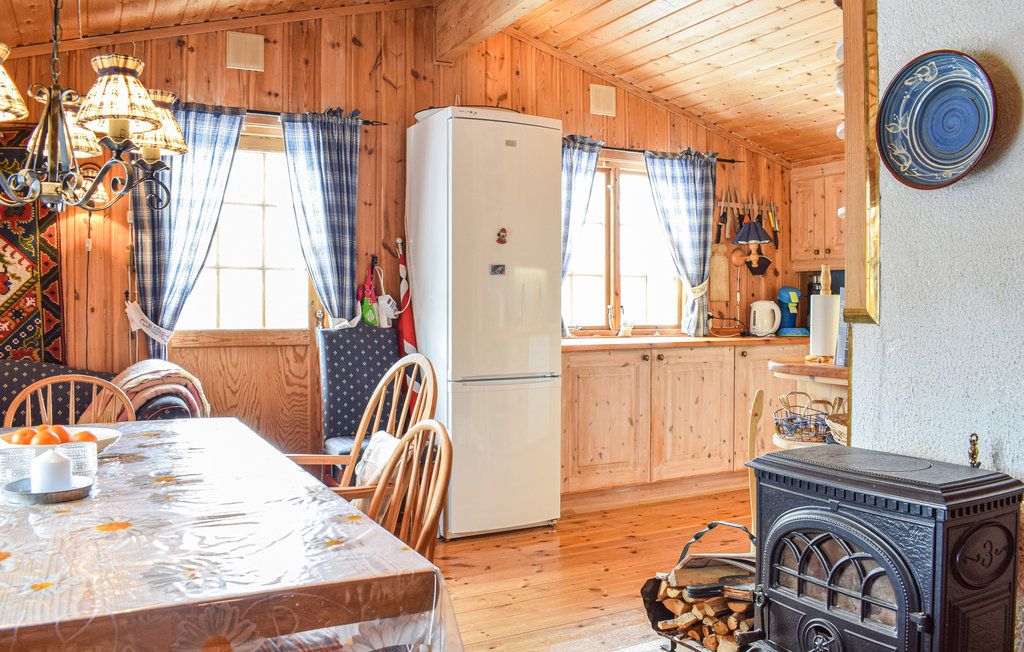 Ferienhaus - Rauland , Norwegen - N35567 7