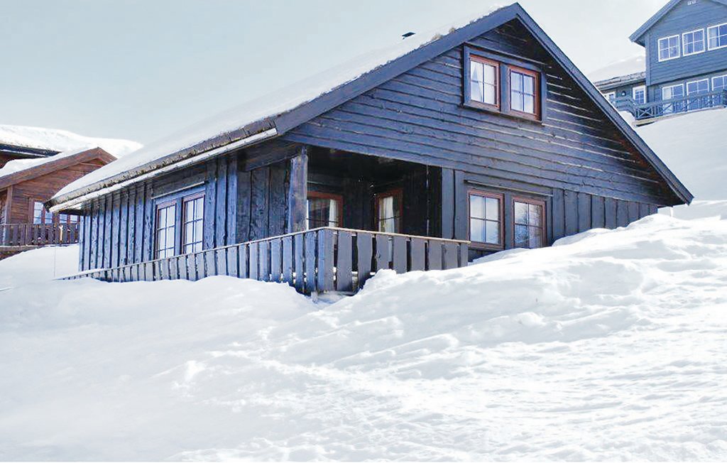 Ferienhaus - Åseral/Ljosland , Norwegen - N35145 8