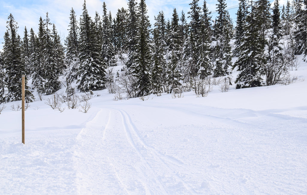 Feriehus - Nissedal/Kyrkjebygdeheia , Norge - N35526 10