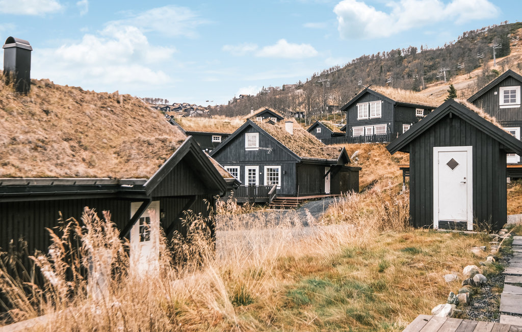 Feriehuse - Rauland , Norge - N35625 11