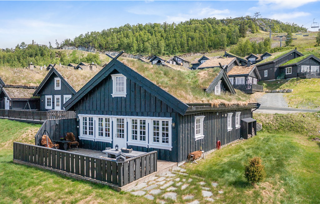 Feriehuse - Holtardalen/Rauland , Norge - N35468 8