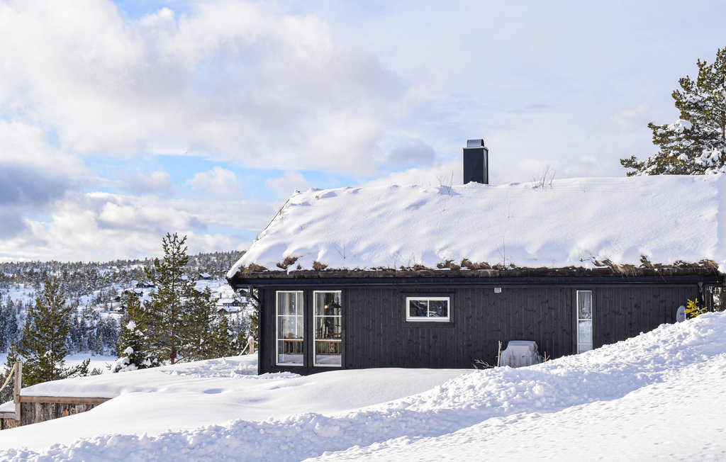 Feriehus - Nissedal/Kyrkjebygdeheia , Norge - N35526 8