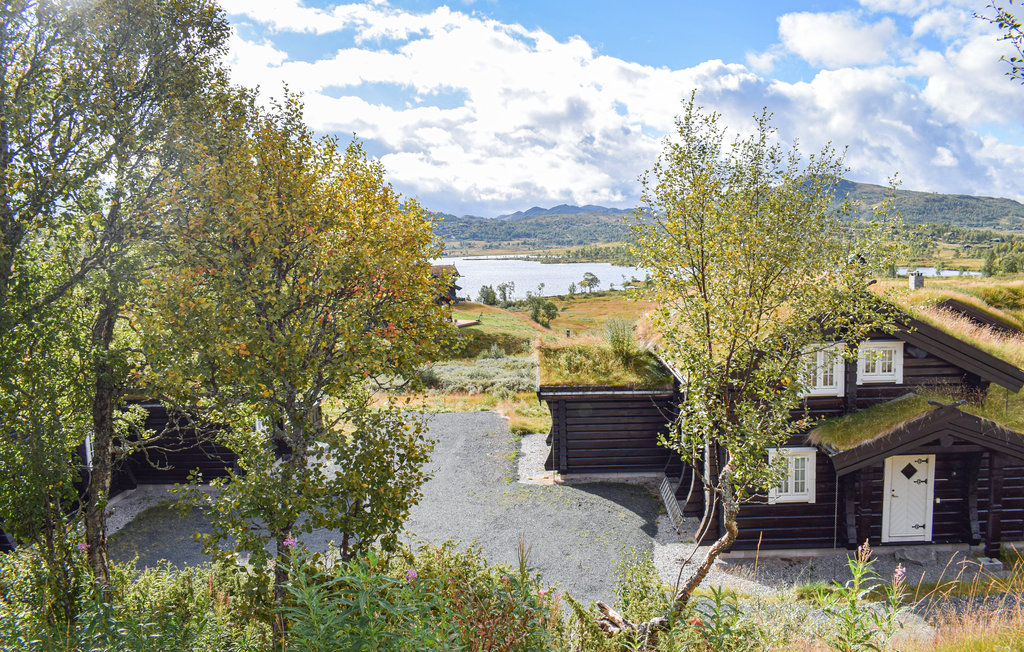 Ferienhaus - Rauland , Norwegen - N35578 2