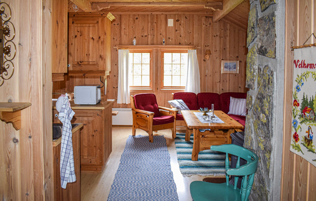 Semesterhus - Rauland/Sandviki , Norge - N35562 13