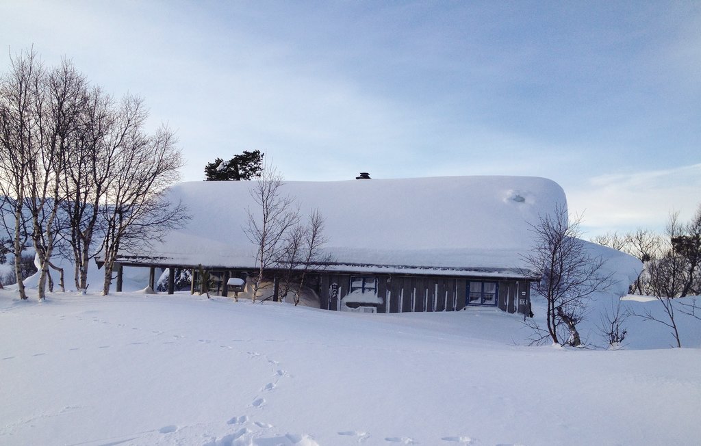 Ferienhaus - Haukelifjell/Vågslid , Norwegen - N35161 9