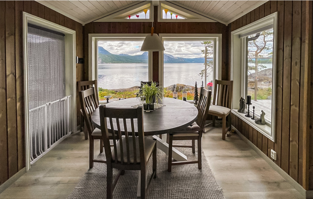Ferienhaus - Nissedal , Norwegen - N35624 7