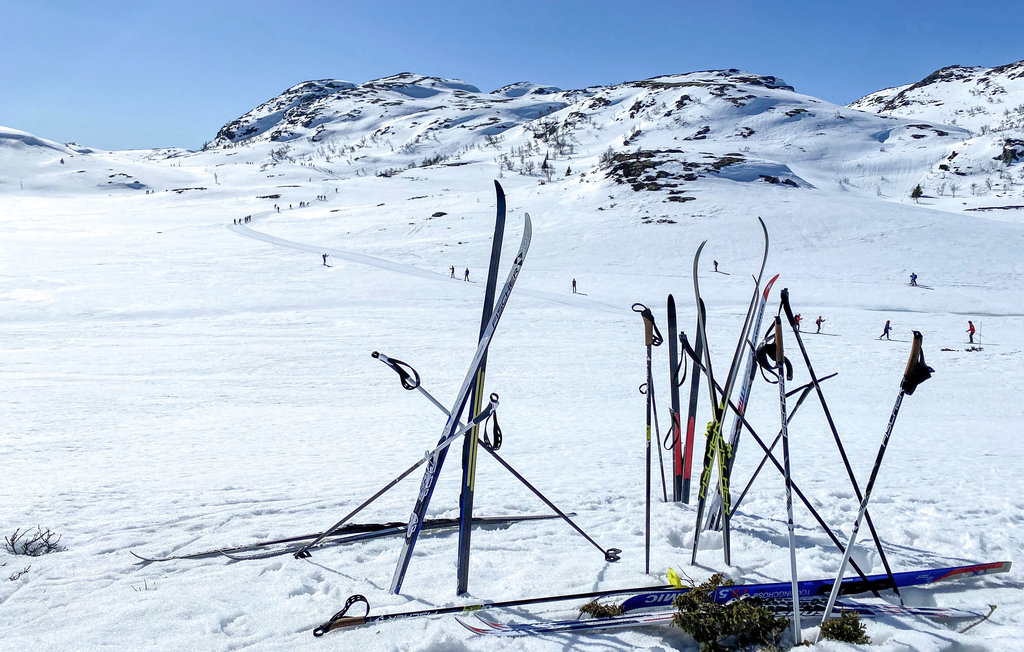 Feriehuse - Holtardalen/Rauland , Norge - N35457 36