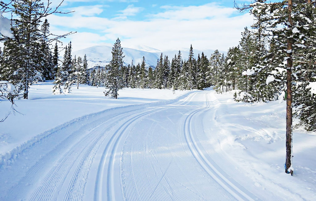 Feriehuse - Holtardalen/Rauland , Norge - N35468 21