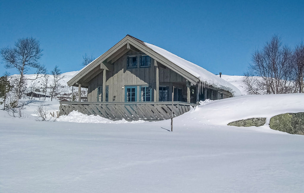 Ferienhaus - Haukelifjell/Vågslid , Norwegen - N35161 1