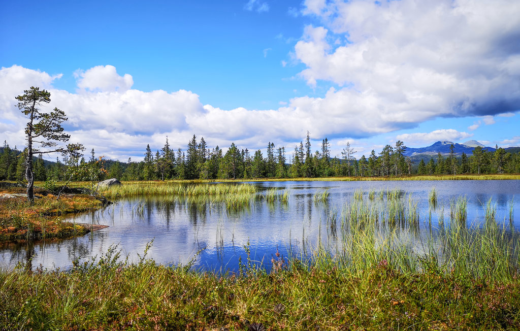 Feriehus - Tuddal , Norge - N35539 34