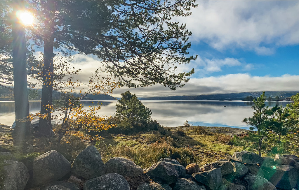 Ferienhaus - Nissedal , Norwegen - N35624 28