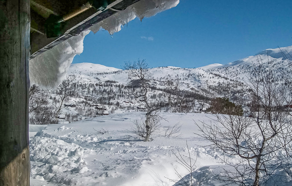 Ferienhaus - Haukelifjell/Vågslid , Norwegen - N35161 7