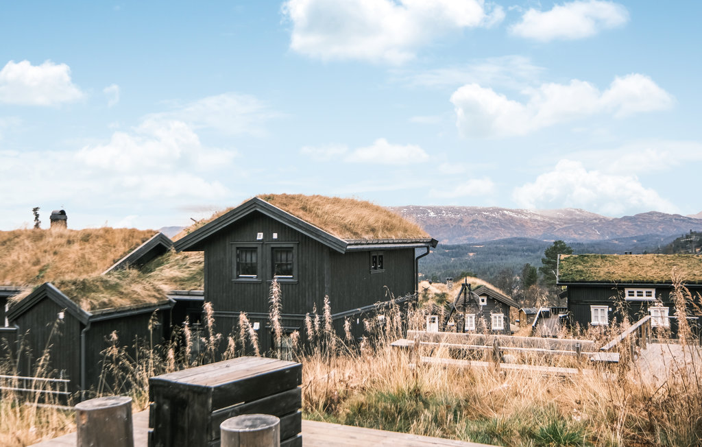 Feriehuse - Rauland , Norge - N35625 9