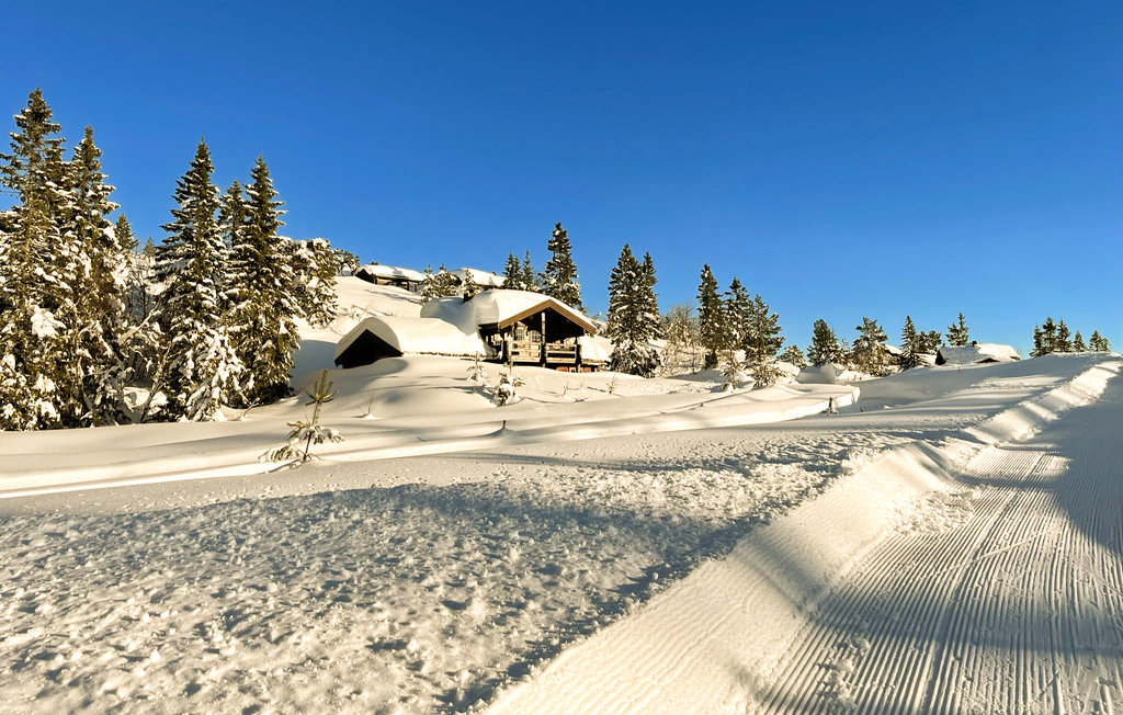 Feriehuse - Nissedal/Kyrkjebygdeheia , Norge - N35517 12