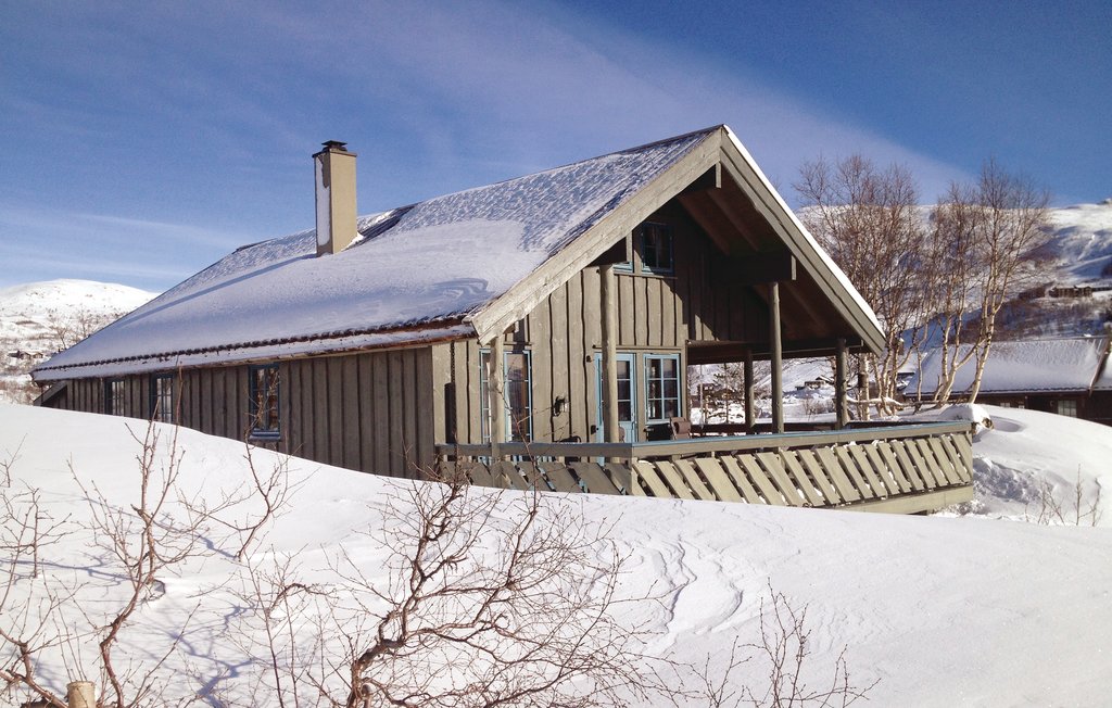 Ferienhaus - Haukelifjell/Vågslid , Norwegen - N35161 10