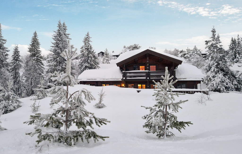 Feriehuse - Nissedal/Kyrkjebygdeheia , Norge - N35517 13