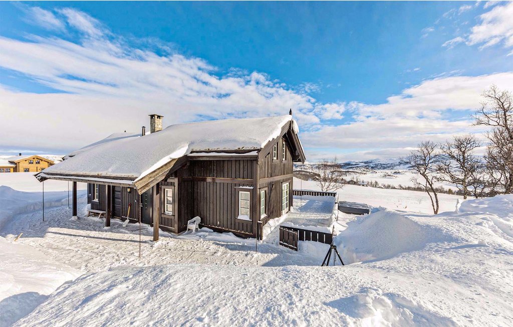 Ferienhaus - Rauland , Norwegen - N35628 12