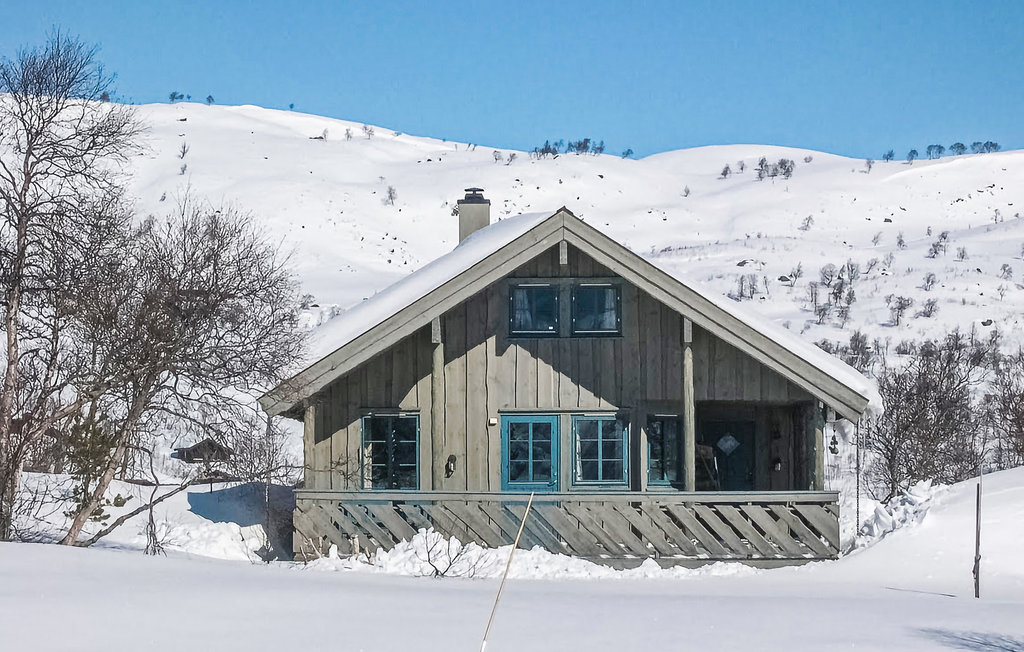 Ferienhaus - Haukelifjell/Vågslid , Norwegen - N35161 11