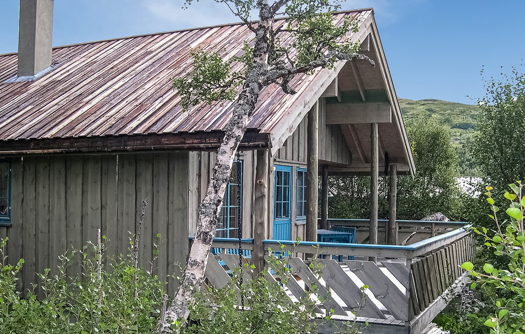 Ferienhaus - Haukelifjell/Vågslid , Norwegen - N35161 12