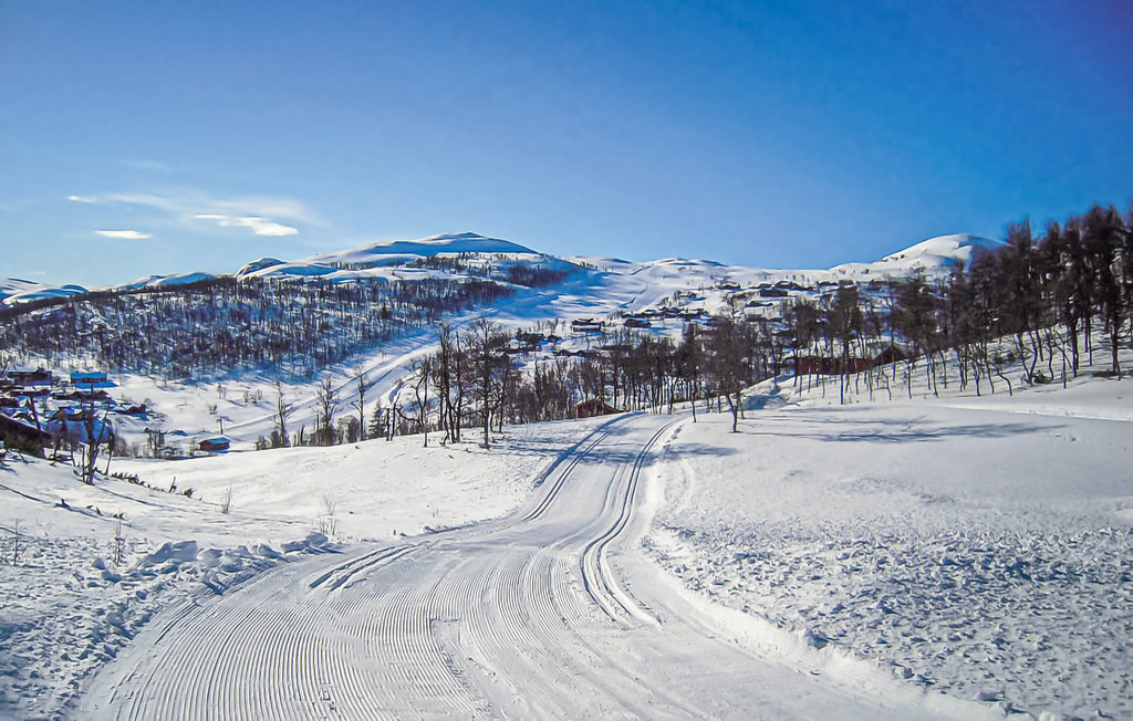 Ferienhaus - Rauland , Norwegen - N35190 15