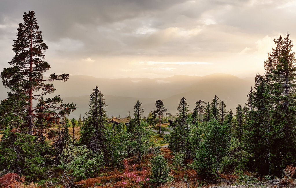 Feriehus - Tuddal , Norge - N35539 35