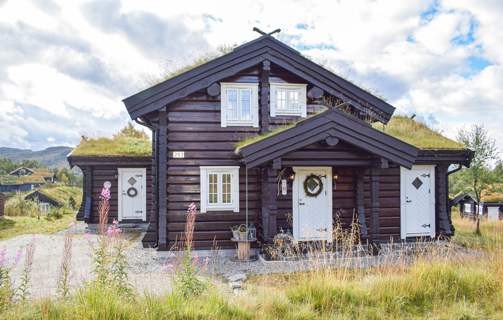 Ferienhaus - Rauland , Norwegen - N35578 1