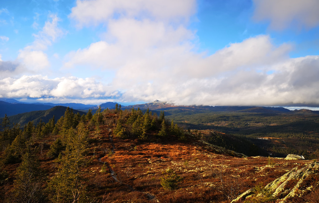 Feriehus - Tuddal , Norge - N35539 39