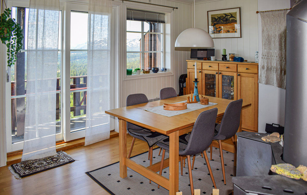 Ferienwohnung - Rauland , Norwegen - N35685 5